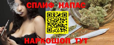 крисы Ставрополь