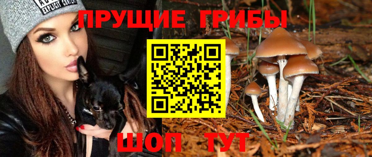 Ноябрьск  Галлюциногенные грибы Magic Shrooms  Вход с VPN 