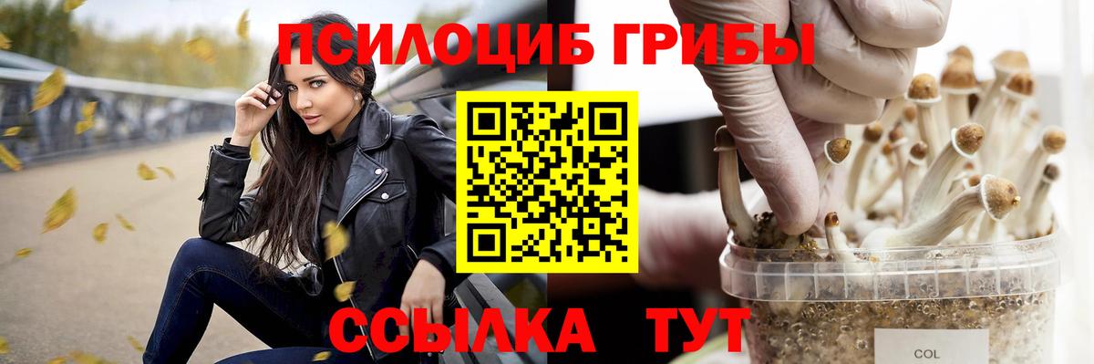 Галлюциногенные грибы прущие грибы Ноябрьск