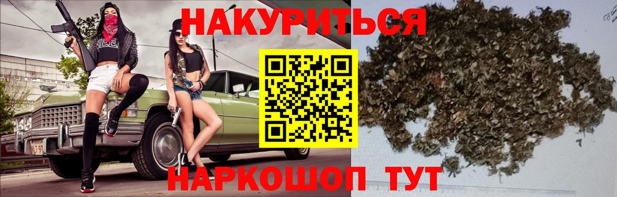 Шишки марихуана планчик Ноябрьск